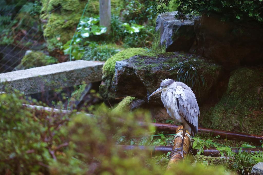 Hotel Mikiya Toyooka  Pokoj fotografie